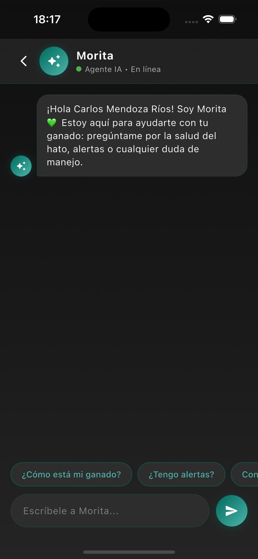 VacApp — asistente de IA Morita